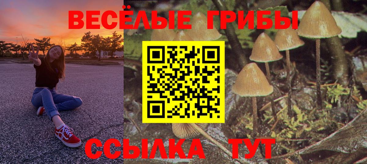 Псилоцибиновые грибы мухоморы  Вход с VPN  Беслан 
