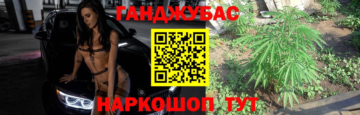 Беслан  Марихуана тримм  Бошки Шишки планчик  Конопля план  Канабис сатива  Вход с VPN 